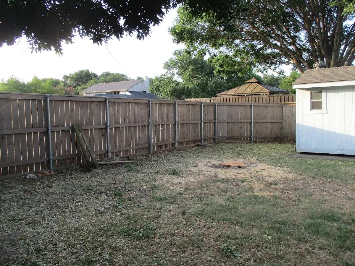 Cleared yard after professional tree removal in Piercy