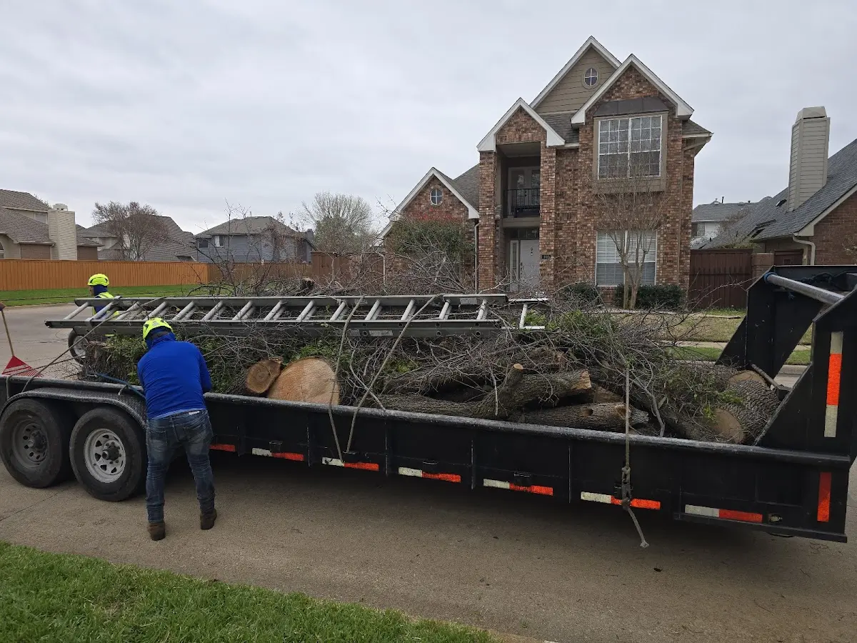 Expert Lot Clearing with proper safety equipment in Piercy